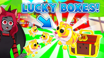 I Got SO LUCKY Opening LUNAR TIGER BOXES In Adopt Me! (Roblox)