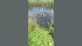 ВЕО ВЕО