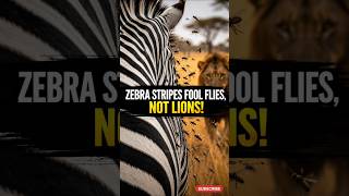 The Real Reason Zebras Have Stripes 🤯 #shortsfeed #science #zebra #facts #viral #shorts
