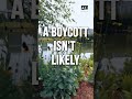 Opinion: Should Black athletes boycott the SEC?