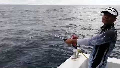 Test Cần Ryoko Polaris siêu khoẻ - Thương Hiệu số 1 đến từ Thái Lan - 0909478695