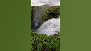 وجعلنا من الماء كل شيء حي أفلا يؤمنون سورة الأنبياء القارئ: الشيخ ماهر المعيقلي #quran #islamicvideo