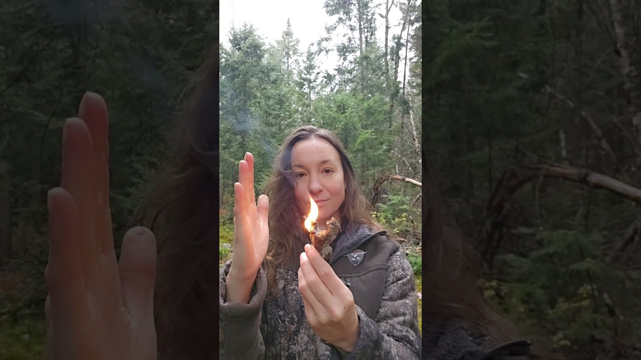 INFLAMMABILITÉ DE LA RÉSINE D'ÉPINETTE