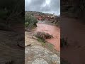 واد شبوكة لهري Funny