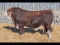 426M WOLFE FARMS 2025