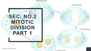 Section No.2 (Mitotic division part 1) Prinicple of genetics