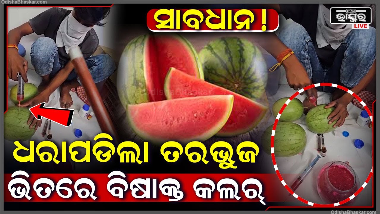 ତରଭୁଜକୁ ଲାଲ ଓ ମିଠା  କରିବାପାଇଁ ଏମିତି ଇଞ୍ଜେକ୍ସନରେ ଦିଆଯାଉଛି ରଙ୍ଗ ..ହେଇଯାନ୍ତୁ ସାବଧାନ
