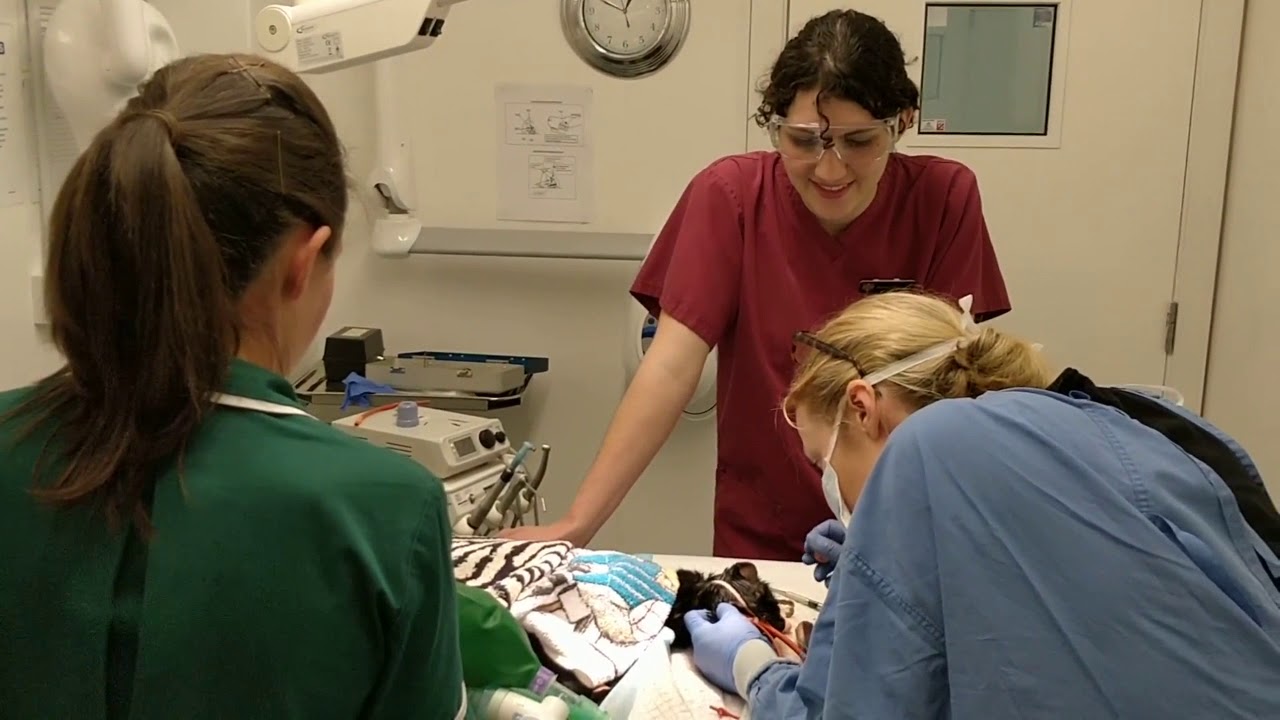 Virtual Tour of our Rotherham Hospital YouTube