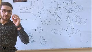 Chapter 11 EDX – Tibial H-Reflex - Nerve Conduction Study Lower Extremity Techniques