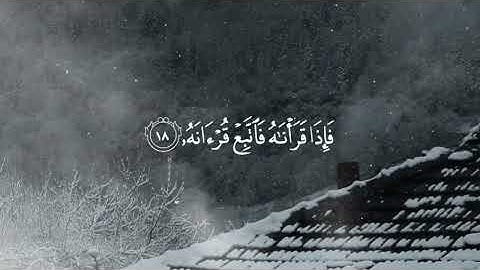سورة القيامة للقارئ سعود آل جمعة 