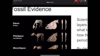 Natural Selection Evidence and Steps