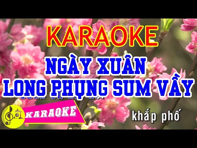 Ngày Xuân Long Phụng Sum Vầy Karaoke || Beat Chuẩn class=