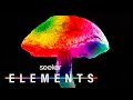 Magic Mushrooms and Mental Health