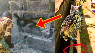 The Mysterious Story Of The Boy Who Was Burried In The Wall.