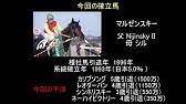 ゆっくり解説 ウイニングポスト9 21 系統確立 イージーゴア バックパサー アリダー両立 編 Youtube ゆっくり解説 ウイニングポスト9 21 系統確立 イージーゴア バックパサー アリダー両立 編 Youtube
