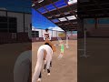 New breeding project/ What y'all think is it? Equestrian The Game