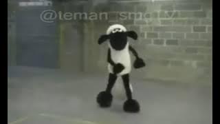 story wa Shaun the sheep sesok di beleh