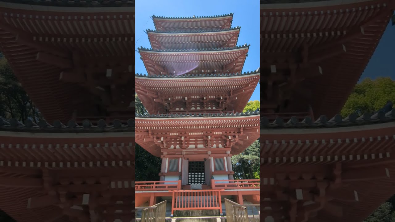 大型本 竹林寺塔記 五重塔再建の記録と塔の源流 昭和61年10月30