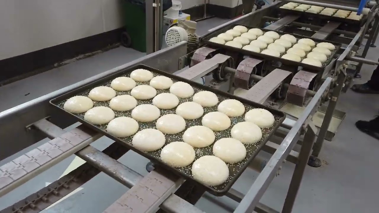 HAMBURGER BUN PRODUCTION LİNE - HAMBURGER EKMEĞİ HATTI