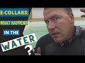 Education on E-Collars, What Happens in the Water? Education on E-Collars, What Happens in the Water?