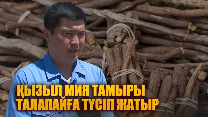 Ыстық аналар онлайн порно