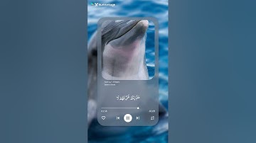 سورة البقرة بصوت الشيخ ياسر الدوسري #القرآن_الكريم #ياسر_الدوسري/اكتب شيء تؤجر عليه/راحة نفسية