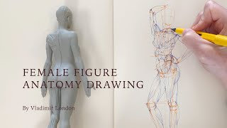 Female Figure Anatomy Drawing