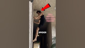 Real-Life Spider-Man 🕷️(@swholeanimal)