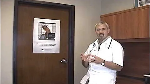 Dog Seizures - Seizures in Dogs