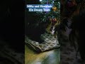 #kätzchen #cat #katze #funny #kitten #cute #tiere #katzen #catlover