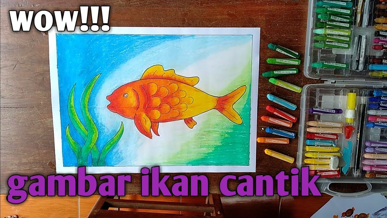 Sketsa Cara  Menggambar  Ikan  Hias Yang Mudah Renunganku