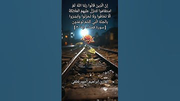 تلاوة مريحة من سورة فصلت🤍