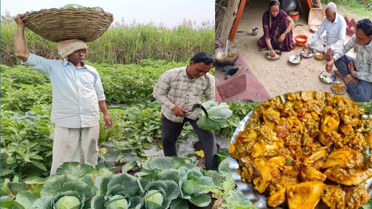 कोबीचा आज पहिला तोडा केला , अंड खिसुन , चिरुन आईनी मस्तचं भाजी केली | Anda Recipe | Tatyacha mala