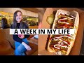 A Work Week in My Life - What I Ate + Did in LA  🌱