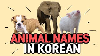 Learning Korean Animal Names In Korean 동물Dongmul Korean Vocabulary How To Learn Korean