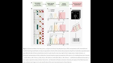 PEG-PLGA from PolySciTech used in development of nanoparticles with fluorescent bar-coding