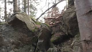 Magical Mystery Tour 2024: Der Teufelsfelsen bei der Wildwiese