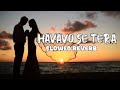 HAVAVO SE TERA Slowed Reverb Song New Song 2026 