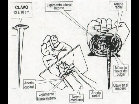 Video: ¿Qué apóstol perdió la vista temporalmente después de tener una visión de Jesús?