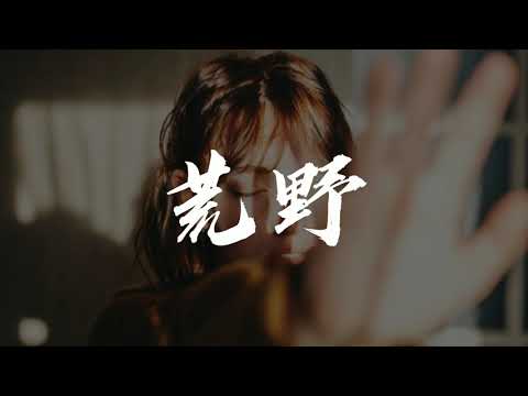 王玉萌 - 荒野 “我的故事無人了解 一片荒野，直到人海中你的出現”【动态歌词/Music Lyrics】