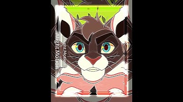 Warrior Cats - Hawkfrost edit  // my idea