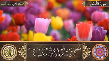 سورة الانعام | الشيخ خليل الصغير Surah Al-An'am || صوت هاديء مريح للعقل و القلب سبحان من وهبه الخشوع