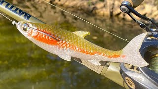 Making a Finesse Minnow FlatSided JerkBait