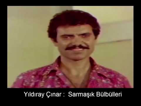 YILDIRAY ÇINAR : SARMAŞIK BÜLBÜLLERİ