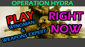 OPERATION HYDRA: How to play WINGMAN & WEAPONS EXPERT RIGHT NOW
