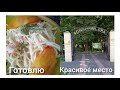 Обзор киевского ботанического 🌿🌸Готовлю любимую пасту😋