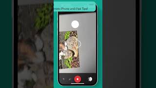 🎞️ Scan in Old Photos with your iPhone  |  #SHORTS screenshot 5