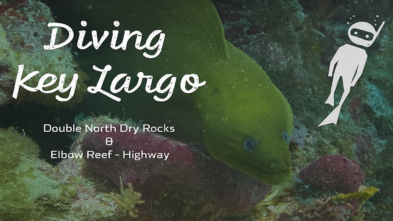 Scuba Diving Key Largo Florida Double North Dry Rocks &