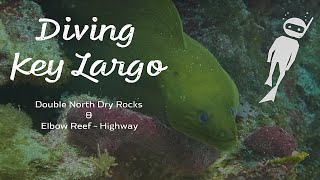 Scuba Diving Key Largo Florida | Double North Dry Rocks & Elbow Reef – Highway | Amoray Dive Center