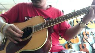 Guitar Stafford Co T Kurosawa SF-300F OM Japan Vintage